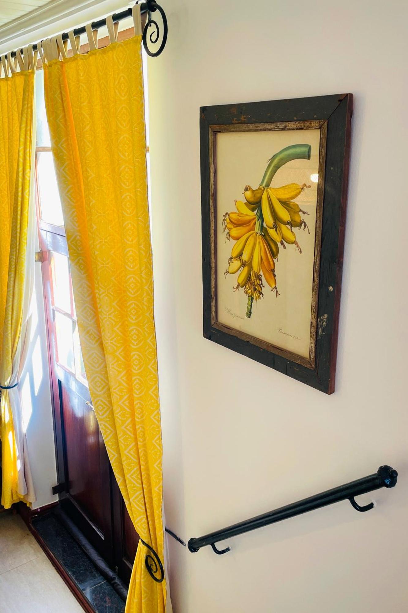 Hotel Ami Vine House à Le Cap Extérieur photo
